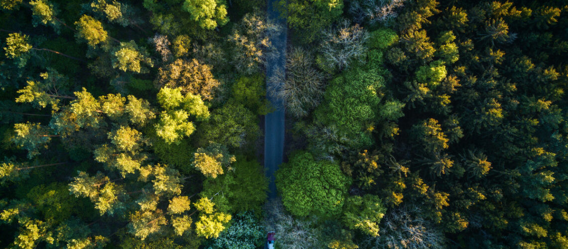 Drone image of a rural landscape.